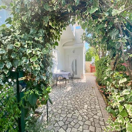 Apartmani Franciska 라브 외부 사진